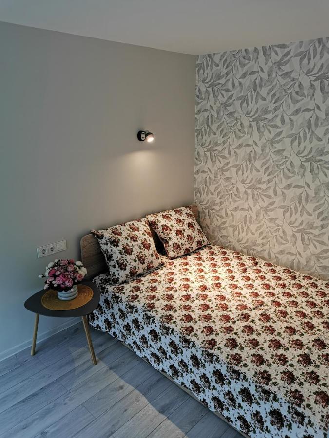 Upes Apartamentai Biržai Exterior foto