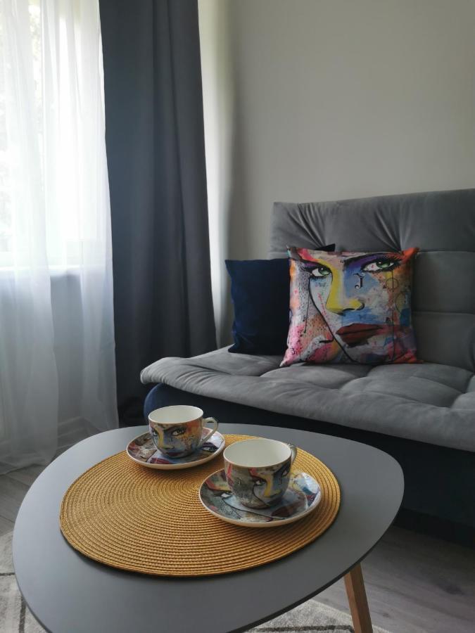 Upes Apartamentai Biržai Exterior foto